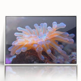 Framed wall art showcasing a vibrant botanical marine plants design with colorful flowers and greenery, set against a white background, ideal for home decor.