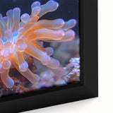 Close-up of a framed botanical wall art piece featuring vibrant marine plants and flowers against a soft blue background, perfect for coastal decor enthusiasts.