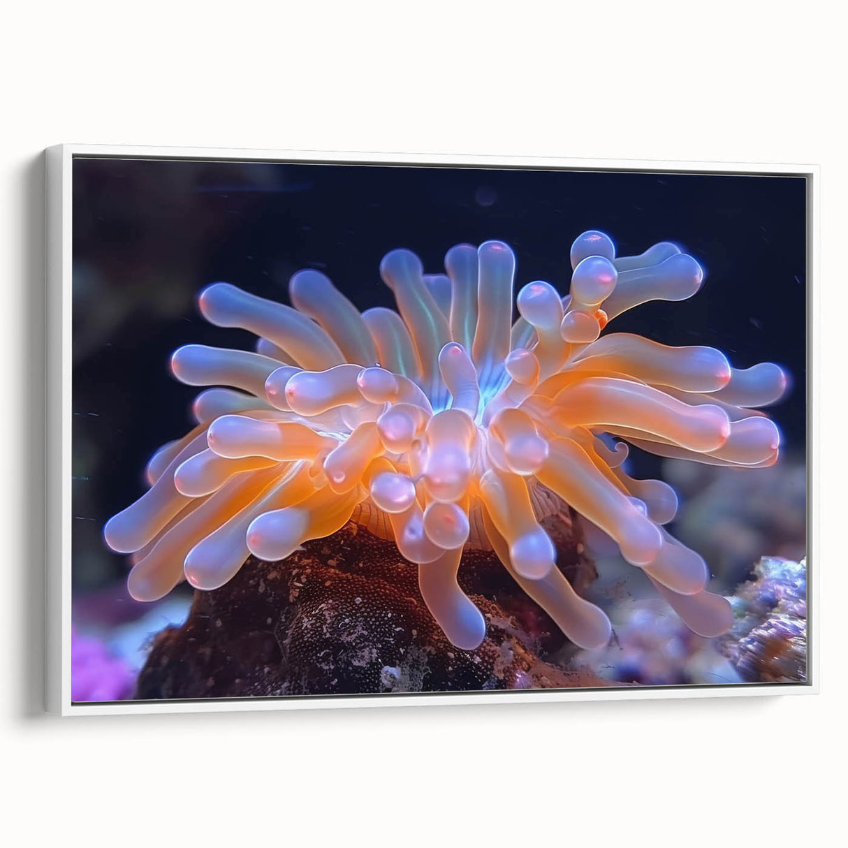 Framed canvas wall art showcasing a vibrant botanical design of marine plants, set against a white background, ideal for coastal decor enthusiasts.