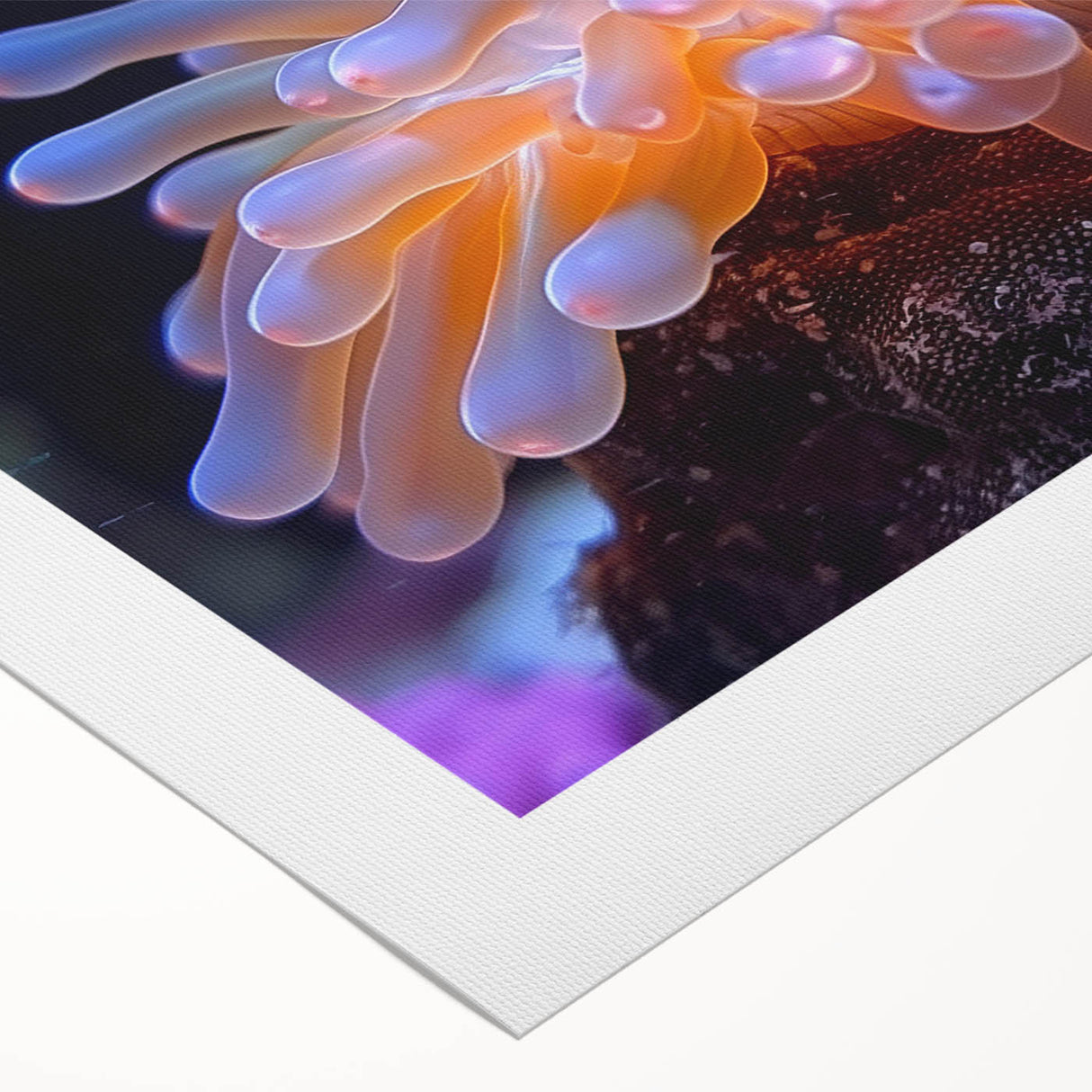 Botanical wall art design showcasing vibrant marine plant illustrations in a rolled canvas format, ideal for adding a natural touch to home decor.