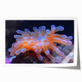 Botanical wall art print showcasing vibrant marine plants with intricate details, rolled and ready for framing, perfect for enhancing home decor.