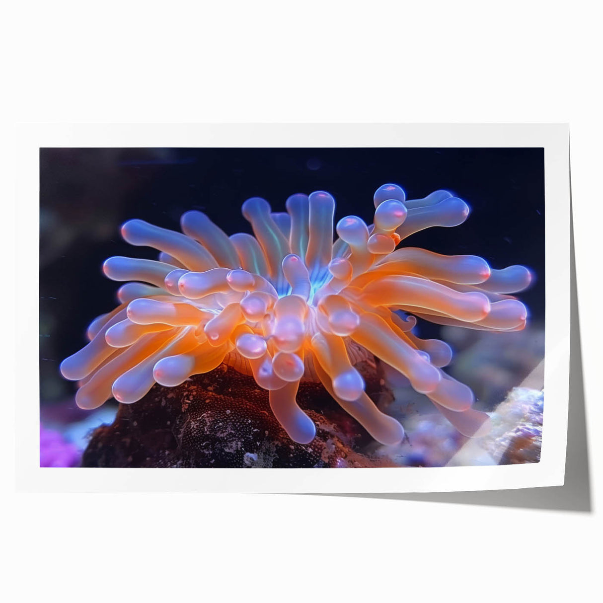 Botanical wall art print showcasing vibrant marine plants with intricate details, rolled and ready for framing, perfect for enhancing home decor.