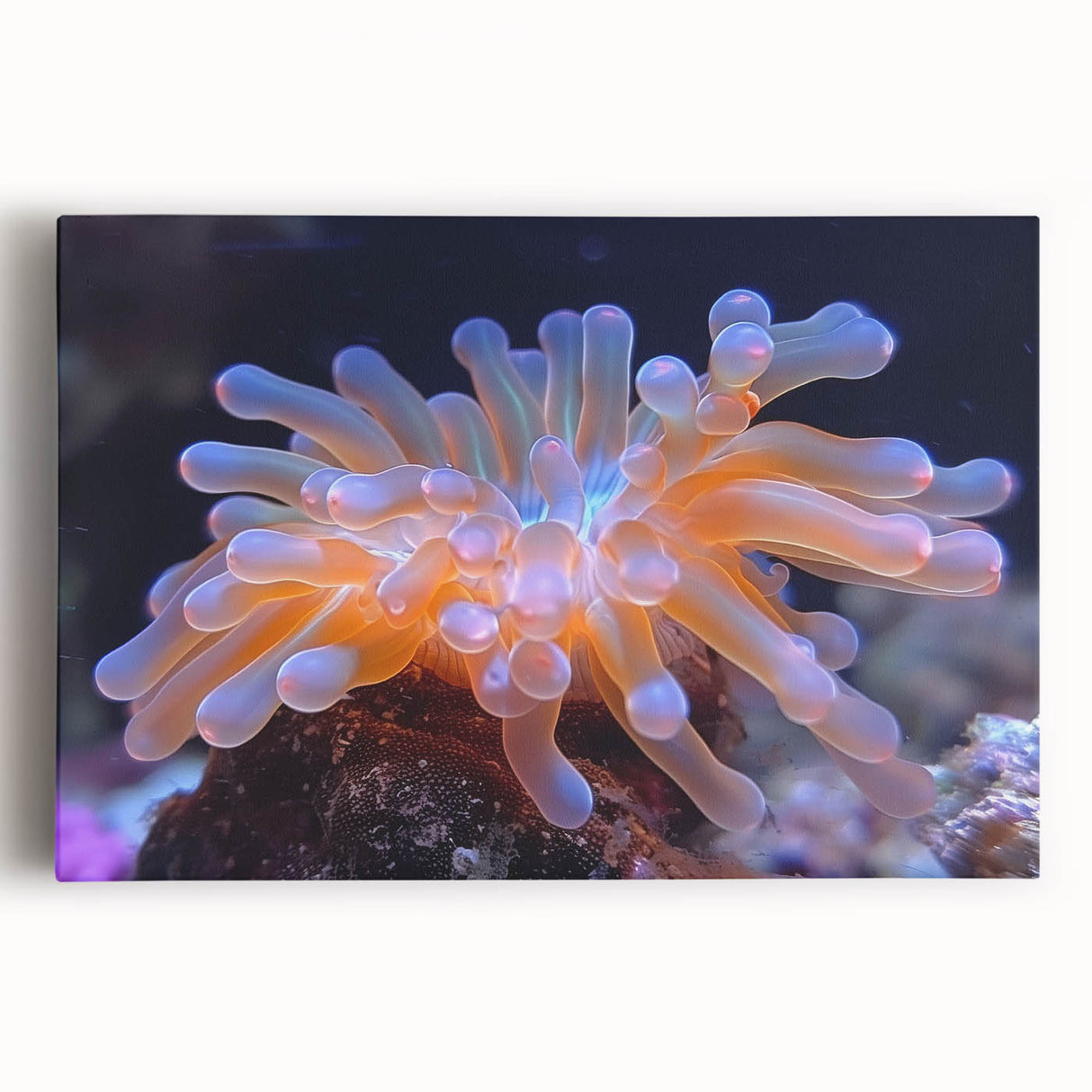Stretched canvas wall art showcasing a vibrant botanical marine plants design, featuring detailed depictions of colorful flora against a serene background, ideal for enhancing coastal home decor.