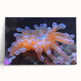 Stretched canvas wall art showcasing a vibrant botanical design of marine plants, featuring intricate details in shades of green and blue, perfect for home decor.