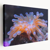 Stretched canvas artwork displaying a vibrant botanical marine plants design, showcasing intricate details in blue and green hues, ideal for coastal decor.