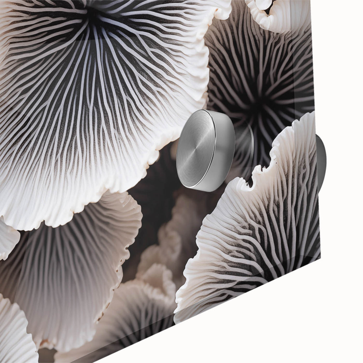 Close-up of a vibrant botanical wall art design featuring marine plants in vivid colors, ideal for home decor and nature enthusiasts, printed on acrylic glass.