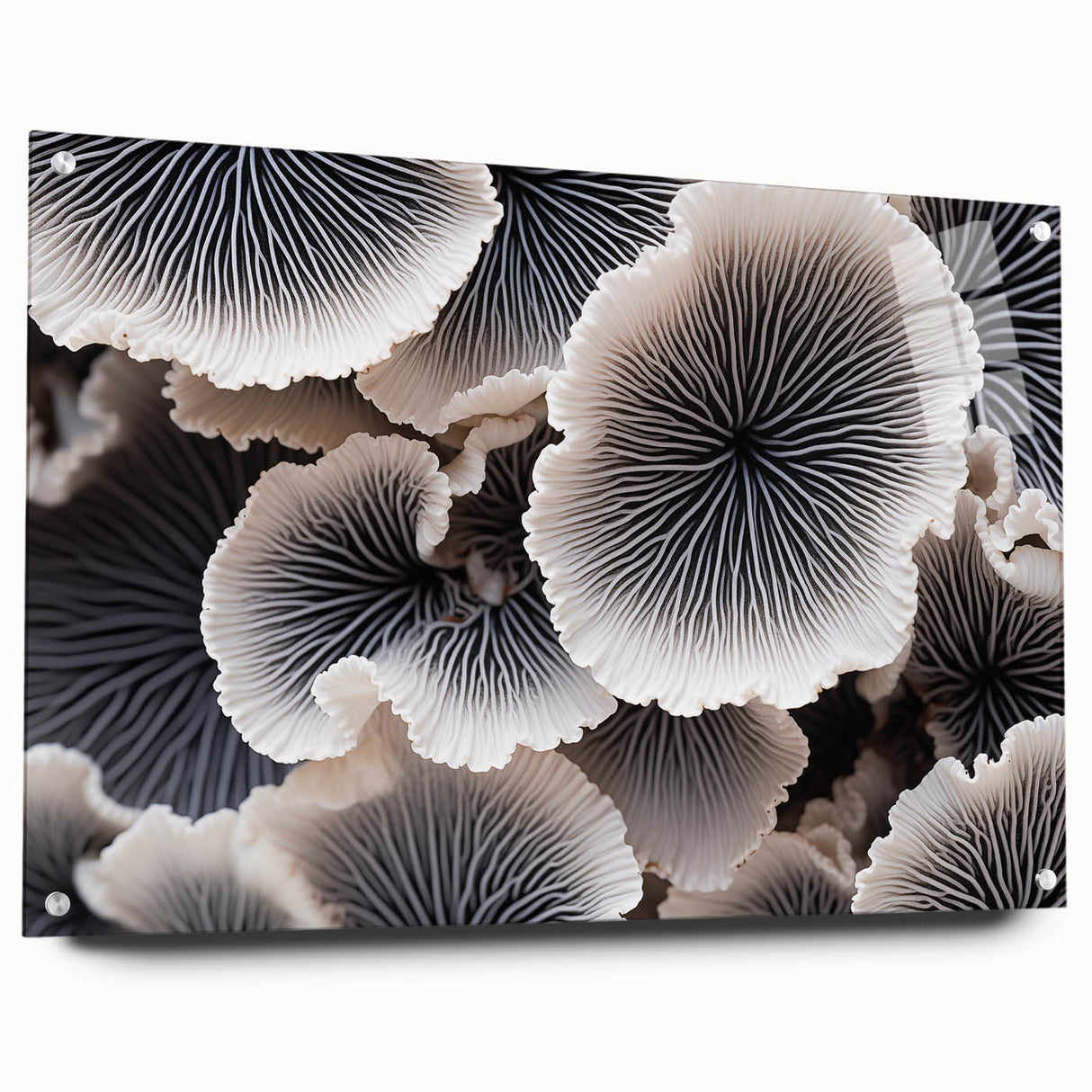Botanical wall art showcasing a vibrant marine plant design, set in an acrylic glass frame with pin attachments, ideal for enhancing modern home decor.