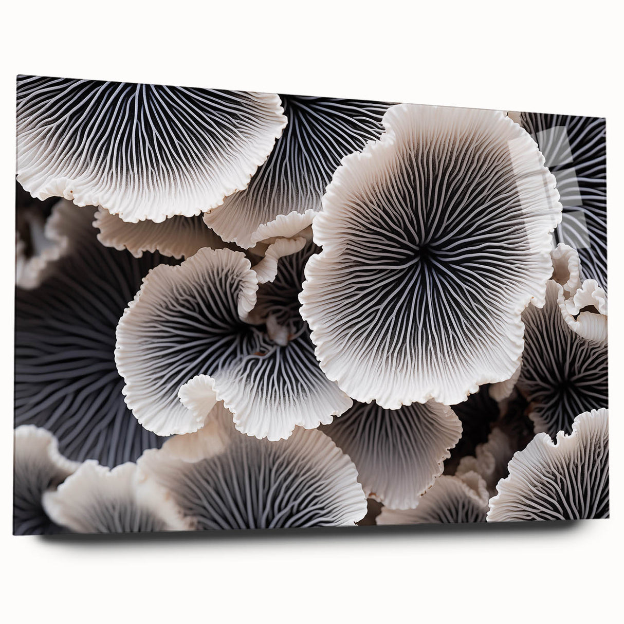 Side view of a botanical marine plants wall art design printed on acrylic glass, showcasing vibrant colors and intricate details of underwater flora, ideal for coastal decor.
