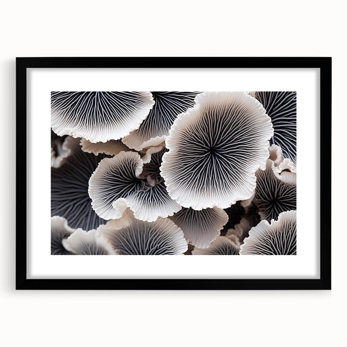 Botanical marine plants wall art collection framed with a black mat, showcasing vibrant floral designs. Ideal for home decor enthusiasts seeking nature-inspired artwork.