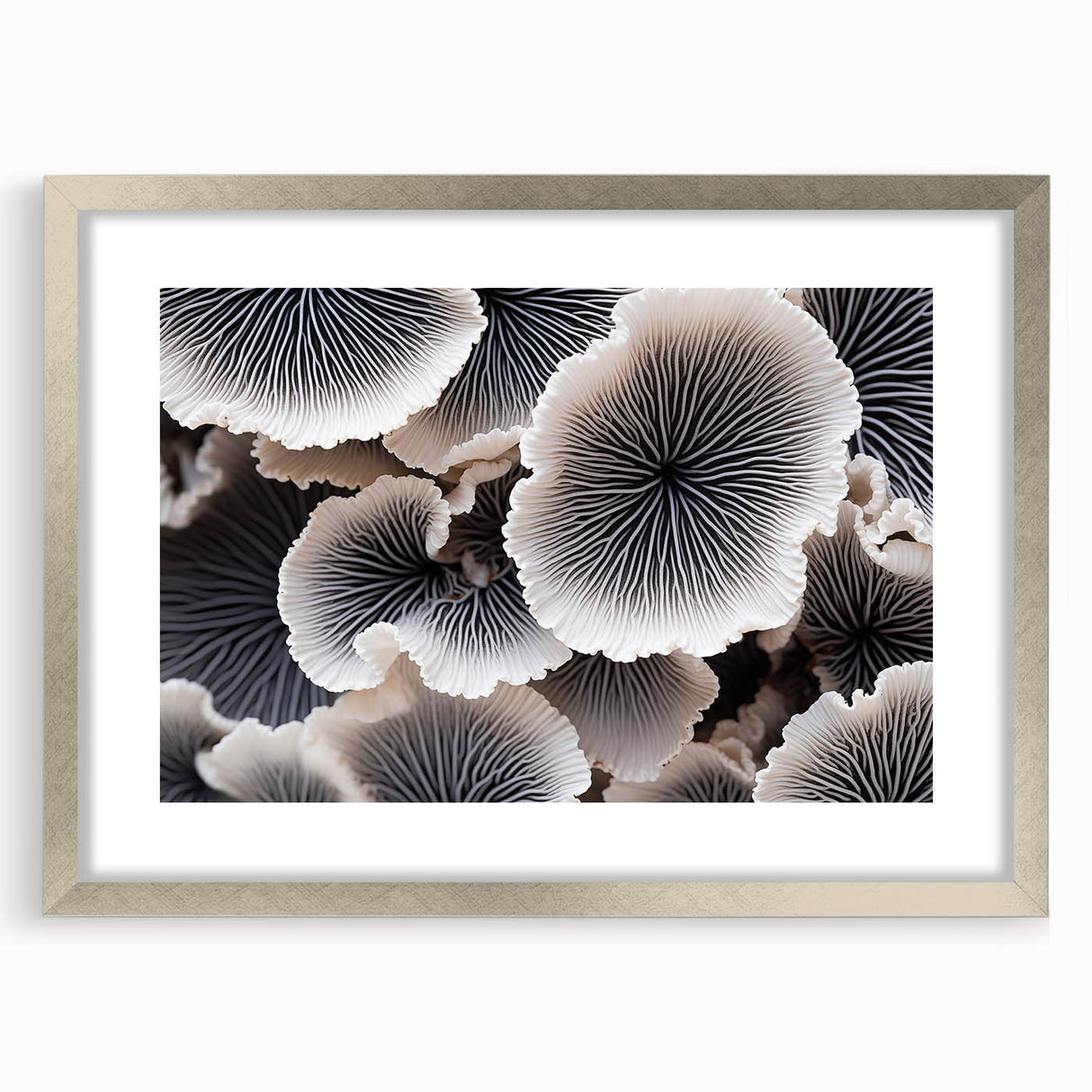 Botanical marine plants wall art featuring vibrant floral designs in a silver frame with matting, ideal for home decor or office styling, showcasing intricate details and colors.