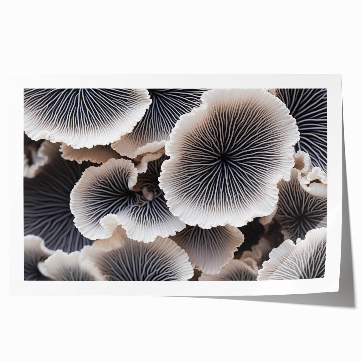 Botanical wall art print showcasing vibrant marine plants in an intricate design, rolled and ready for framing to enhance any coastal home decor.