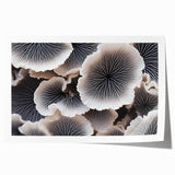 Botanical wall art print showcasing vibrant marine plants in an intricate design, rolled and ready for framing to enhance any coastal home decor.