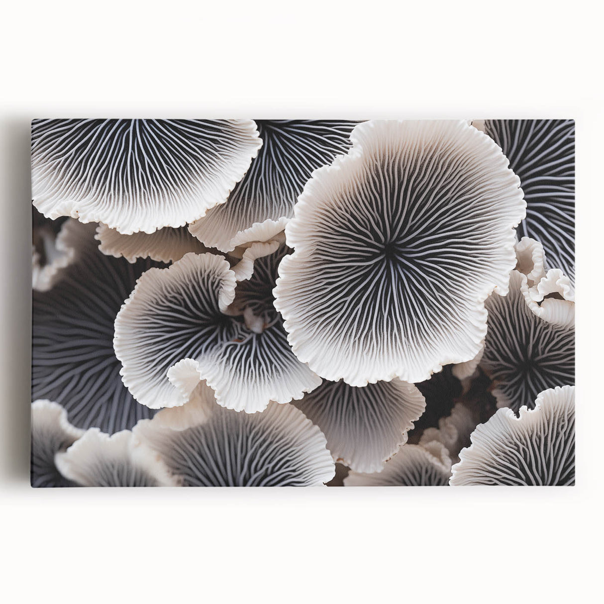 Stretched canvas wall art showcasing a vibrant botanical marine plants design, featuring intricate floral details and rich colors, perfect for home decor.