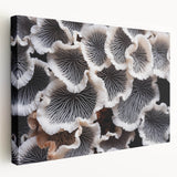 Stretched canvas showcasing vibrant botanical marine plants design, featuring intricate details and rich colors, perfect for enhancing home decor in coastal themes.