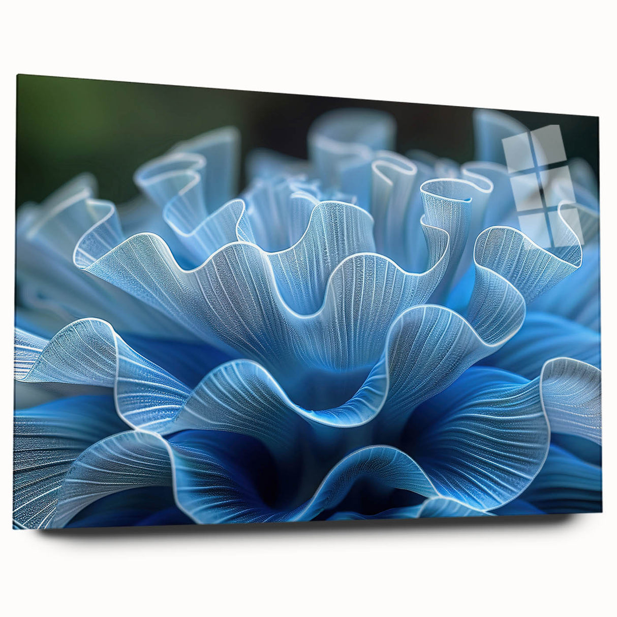 Colorful botanical wall art featuring marine plants in an acrylic glass frame, showcasing intricate details and vibrant hues, ideal for home decor.