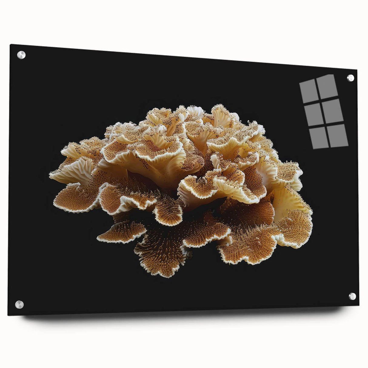 Acrylic wall art collection showcasing a vibrant botanical design of marine plants, elegantly displayed from a side view with pins, ideal for modern decor.