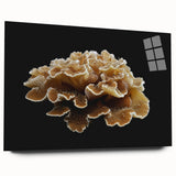 Botanical marine plants wall art design in a sleek acrylic frame, showcasing vibrant colors and intricate details, perfect for coastal decor enthusiasts.