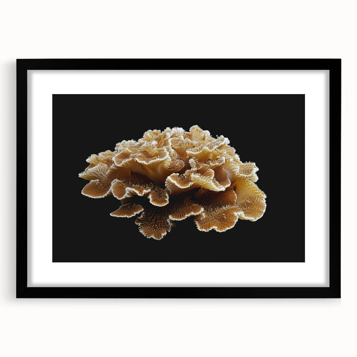 Elegant botanical wall art design showcasing marine plants and vibrant flowers, framed in a sleek black frame with a white mat, perfect for home decor.