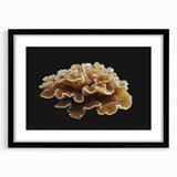 Elegant botanical wall art design showcasing marine plants and vibrant flowers, framed in a sleek black frame with a white mat, perfect for home decor.