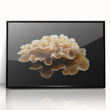 Framed wall art featuring a botanical marine plants design, showcasing vibrant colors on a black background. Ideal for adding a touch of nature to home decor.