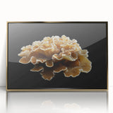 Framed wall art featuring a botanical marine plants design with vibrant colors and gold accents, perfect for enhancing coastal-themed decor in living spaces.