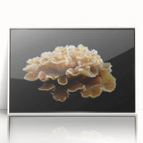 Framed wall art featuring a botanical design of marine plants in vibrant colors, displayed in a sleek white frame, perfect for enhancing coastal decor.