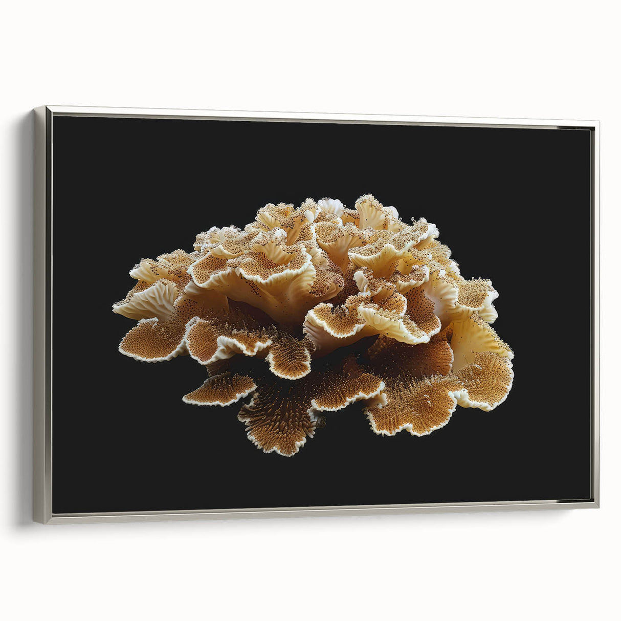 Framed wall art featuring a botanical design of marine plants, showcasing vibrant colors and intricate details, ideal for coastal home decor. Silver framing enhances its elegance.