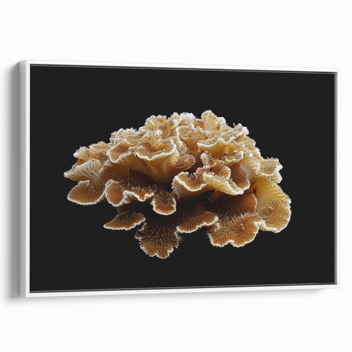 Framed wall art showcasing a botanical marine plants design, featuring vibrant colors and intricate details, displayed against a white backdrop, ideal for home decor.