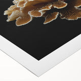Vibrant botanical wall art featuring marine plants, showcasing a colorful underwater scene with detailed illustrations on rolled canvas, perfect for home decor.