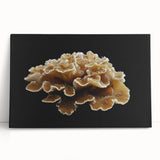 Stretched canvas wall art showcasing vibrant botanical marine plants in a colorful design, perfect for home decor or beach-themed interiors, leaning against a wall.