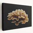 Stretched canvas wall art showcasing a botanical marine plants design with vibrant colors, ideal for coastal-themed decor. Side view highlights the textured surface and framing, enhancing any interior space. Perfect for nature lovers and home decorators.