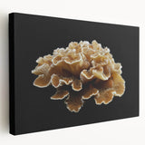 Stretched canvas wall art showcasing a botanical marine plants design with vibrant colors, ideal for coastal-themed decor. Side view highlights the textured surface and framing, enhancing any interior space. Perfect for nature lovers and home decorators.