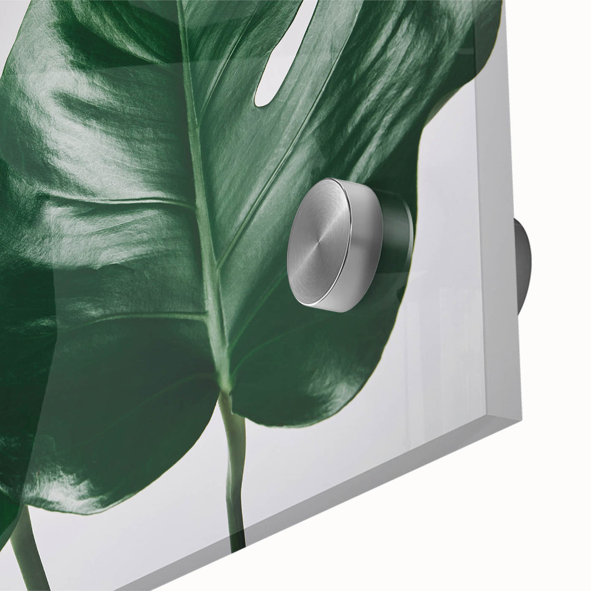Close-up of a vibrant botanical wall art piece showcasing a detailed Monstera leaf design in acrylic glass, featuring rich green hues and intricate textures. Perfect for modern home decor, this artwork adds a touch of nature-inspired elegance to any space.