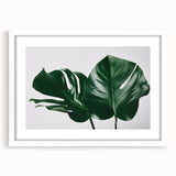 Botanical wall art featuring a Monstera plant design in a white frame with a mat, perfect for adding a natural touch to modern decor. Ideal for home or office settings.
