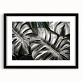 Botanical wall art featuring a Monstera leaf design framed in black with a white mat, perfect for enhancing modern home decor. Ideal for plant lovers and interior design enthusiasts.