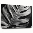 Acrylic wall art print featuring a vibrant botanical monstera design, displayed in a side view with decorative pins for easy hanging, perfect for modern interior decor.