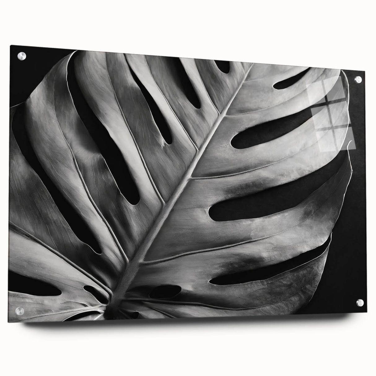 Acrylic wall art print featuring a vibrant botanical monstera design, displayed in a side view with decorative pins for easy hanging, perfect for modern interior decor.