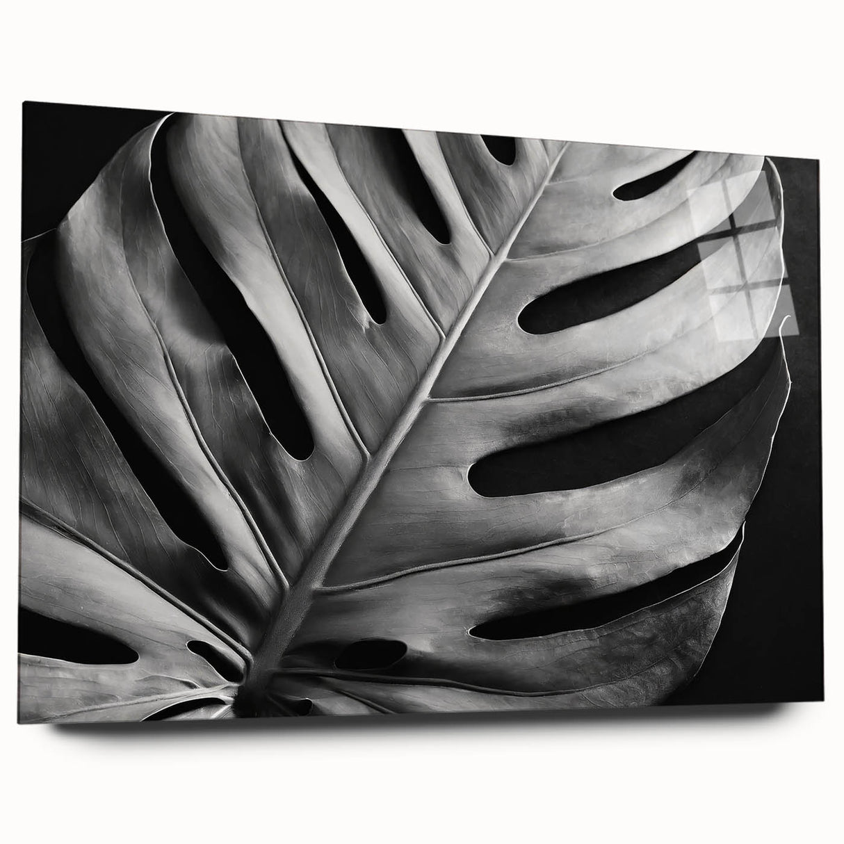 Acrylic glass wall art featuring a vibrant botanical monstera design with colorful flowers, showcased in a side view, ideal for home decor and plant enthusiasts.