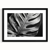 Framed botanical wall art featuring a Monstera plant design, set in a sleek black frame with a mat, perfect for modern home decor and nature enthusiasts.