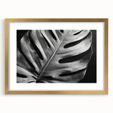 Framed botanical wall art featuring a Monstera design, elegantly displayed with a gold frame and mat, perfect for modern home decor and nature enthusiasts.