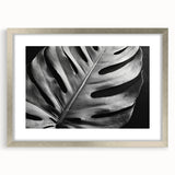 Framed botanical wall art featuring a vibrant monstera leaf design with a silver mat and frame, perfect for modern home decor and nature enthusiasts.