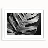 Framed botanical wall art featuring a vibrant monstera leaf design on a white background, ideal for adding a touch of nature to any room decor. Perfect for plant lovers and modern home aesthetics.