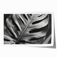 Botanical monstera wall art print showcasing vibrant green leaves against a white background, rolled for easy framing and display in home decor settings.