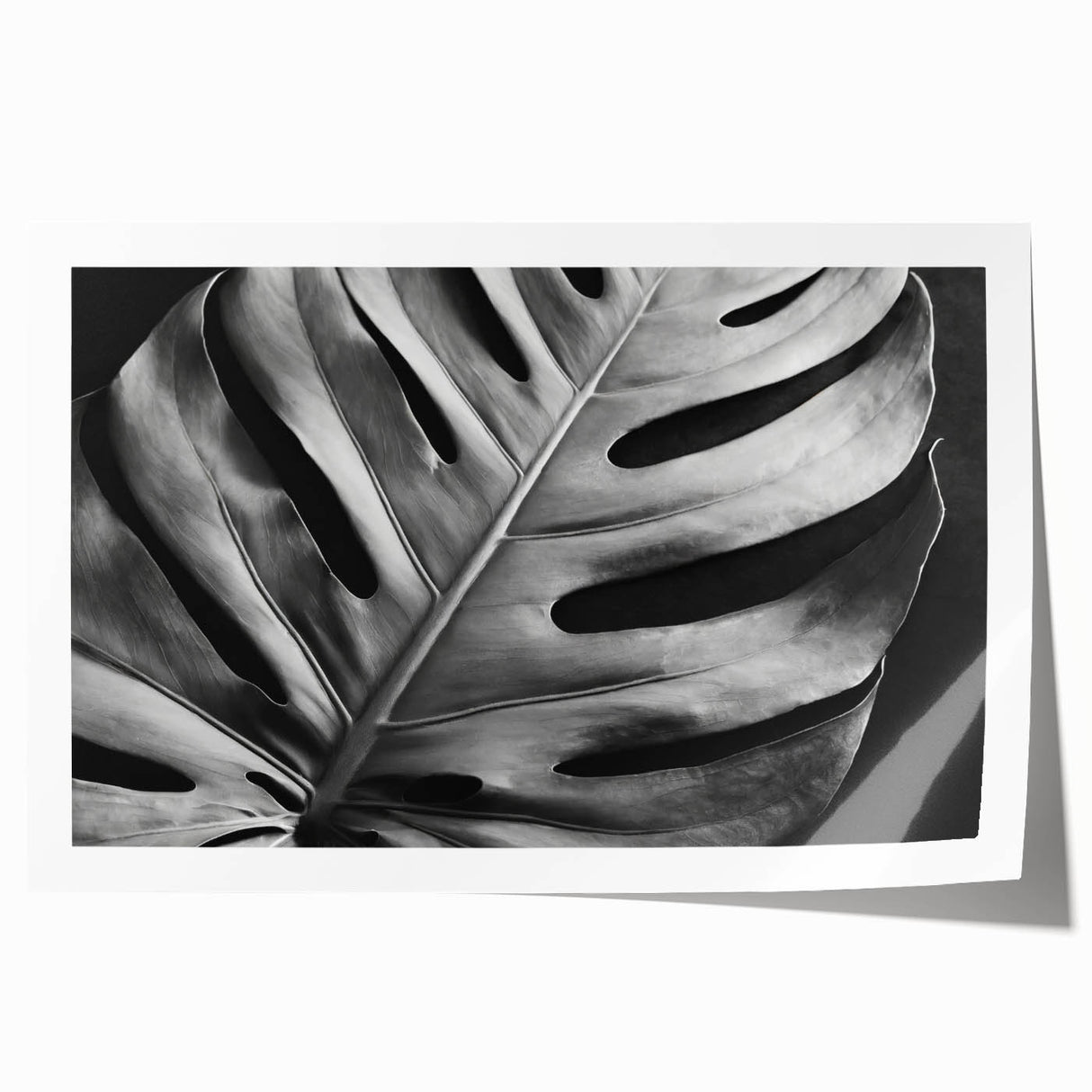 Botanical monstera wall art print showcasing vibrant green leaves against a white background, rolled for easy framing and display in home decor settings.