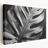Stretched canvas wall art showcasing a vibrant botanical Monstera design, featuring lush green leaves against a neutral background, perfect for home decor.