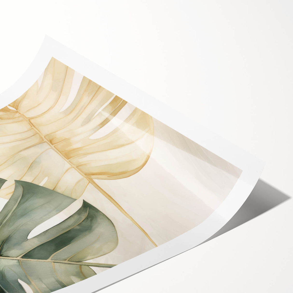 Stylish rolled print showcasing a vibrant botanical Monstera design, featuring lush green leaves on a textured background, ideal for home decor and nature lovers.