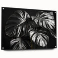 A side view of a vibrant botanical wall art collection featuring a Monstera design, displayed in a sleek acrylic glass frame with decorative pins, perfect for modern decor.