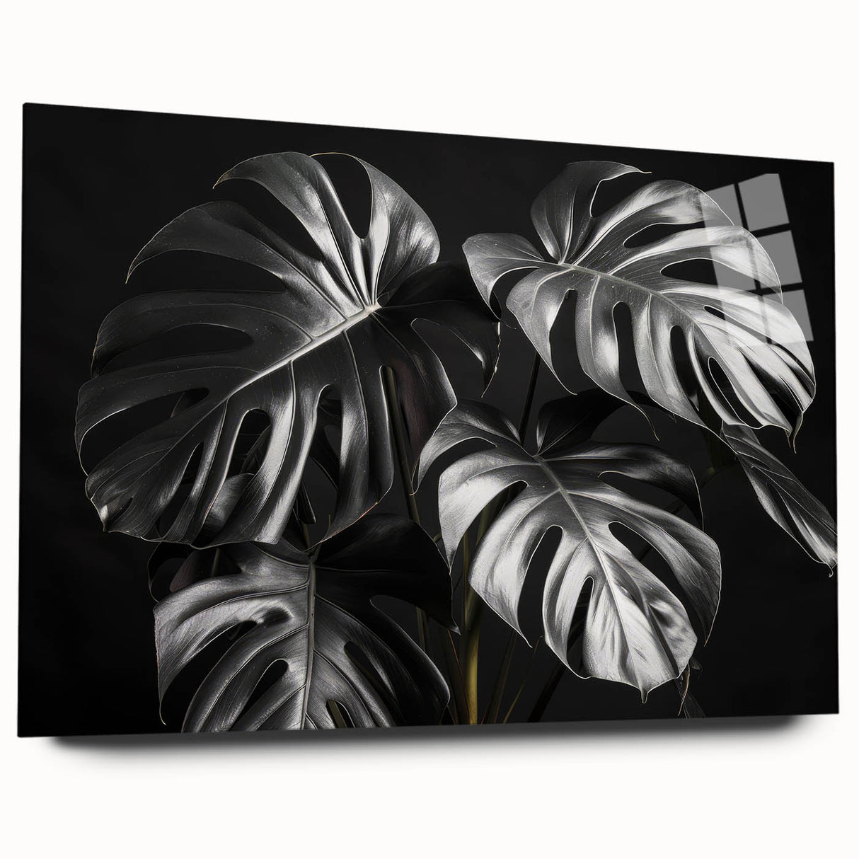 Acrylic glass wall art collection showcasing a botanical monstera design, featuring vibrant green leaves on a sleek surface. Ideal for home decor enhancement.