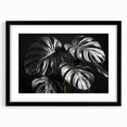Framed botanical wall art collection featuring a Monstera leaf design with a black frame and mat, ideal for modern home decor and nature enthusiasts.