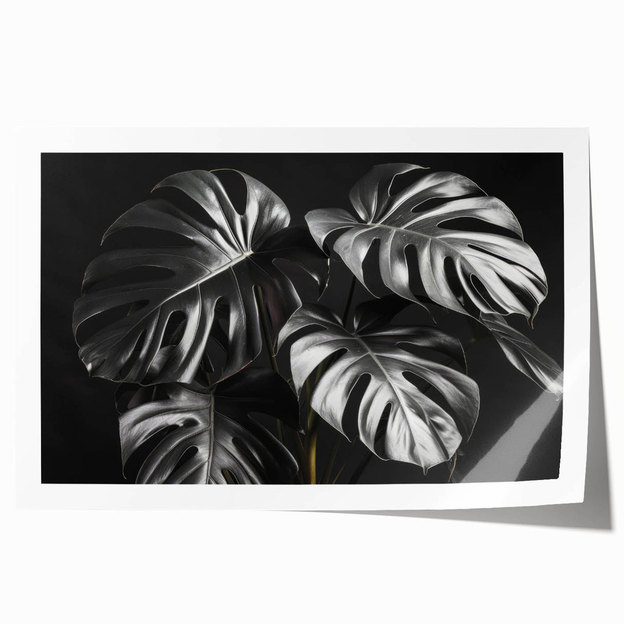 Vibrant botanical wall art print showcasing a Monstera leaf design, perfect for adding a touch of nature-inspired decor to any space, rolled for easy framing.